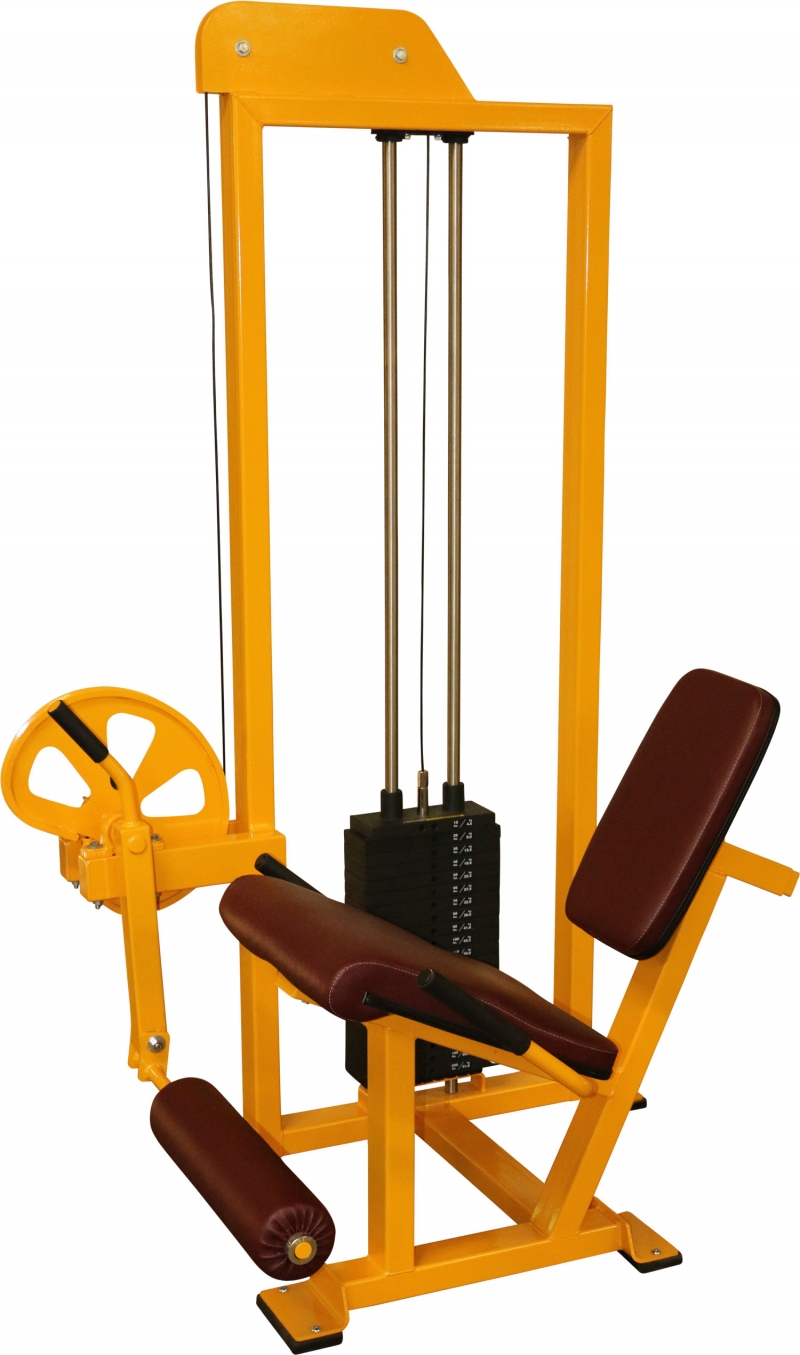 Leg Extension SELLB 011