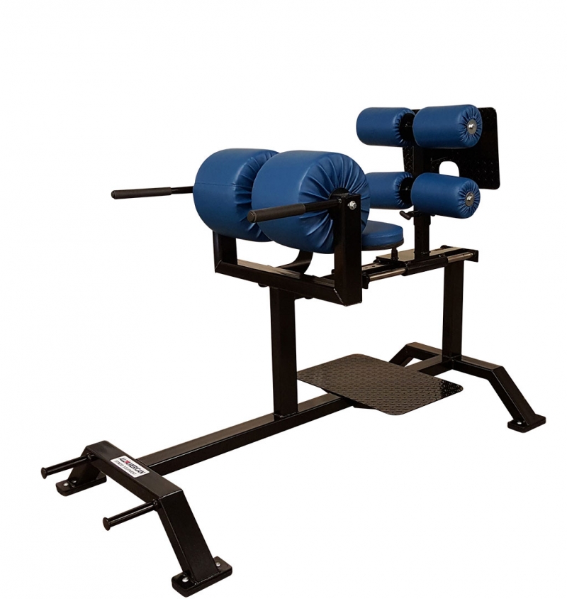 Pro Series Glute Ham Developer FWGH 004